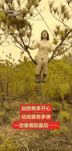 惊呆所有人：女子去公园玩，看到颗小松树长的漂亮就爬上树丫拍视频，她在树丫上摇啊、
