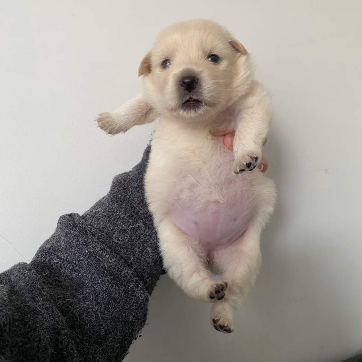 아이 배불러 우아아아아아앙..😆 