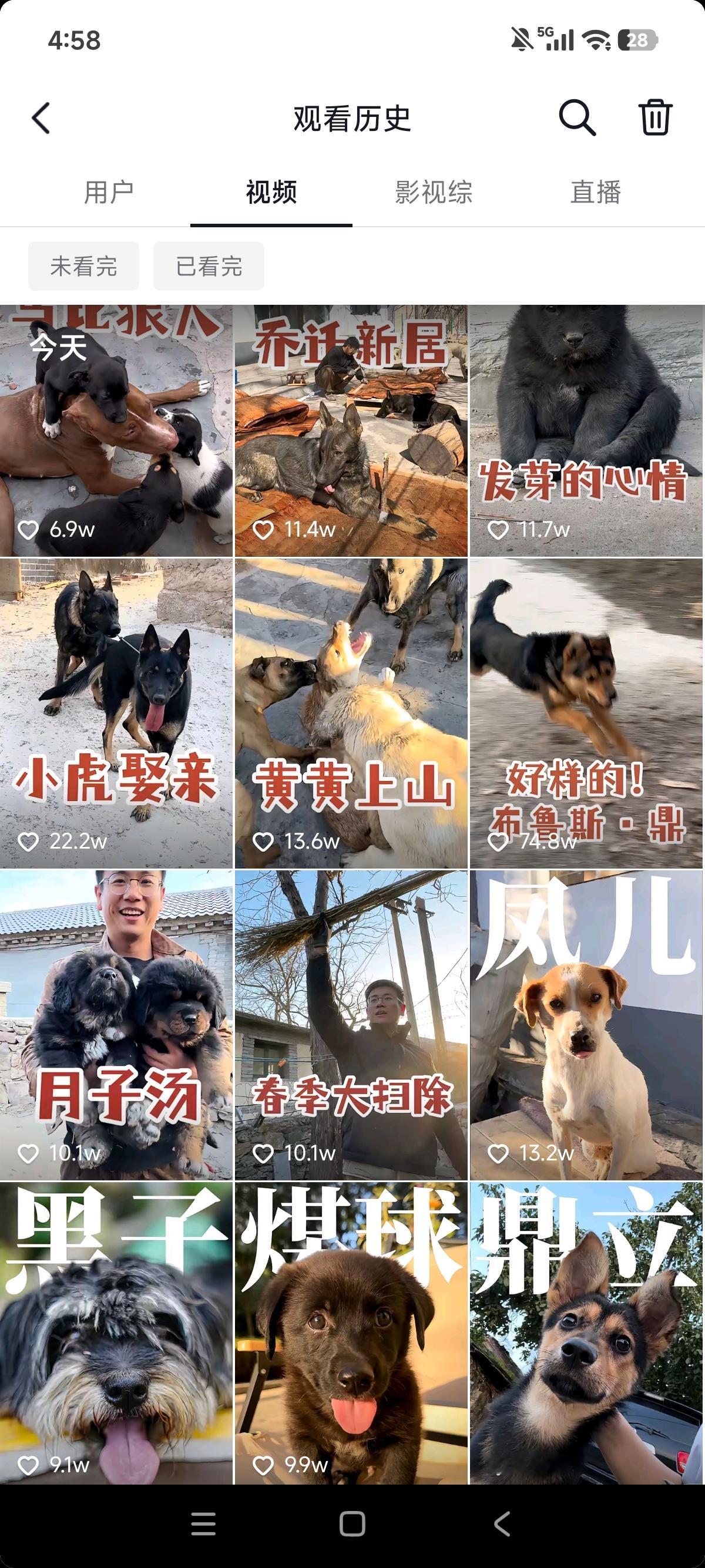 其实之前刷到过骏良账号，乍一看好多狗乱七八糟，看不明白也就没看下去。直到这两天刷