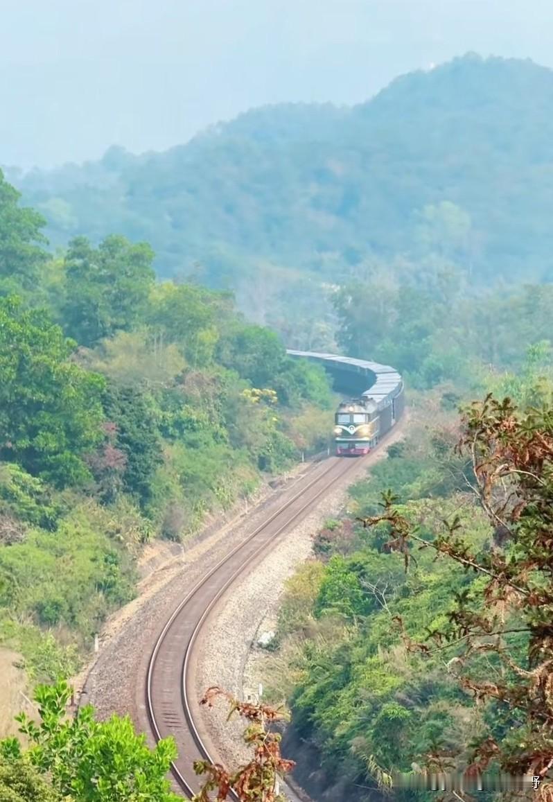 从珠三角通往粤西地区的铁路干线——广茂铁路。虽然是干线铁路，但从修通至今30年，