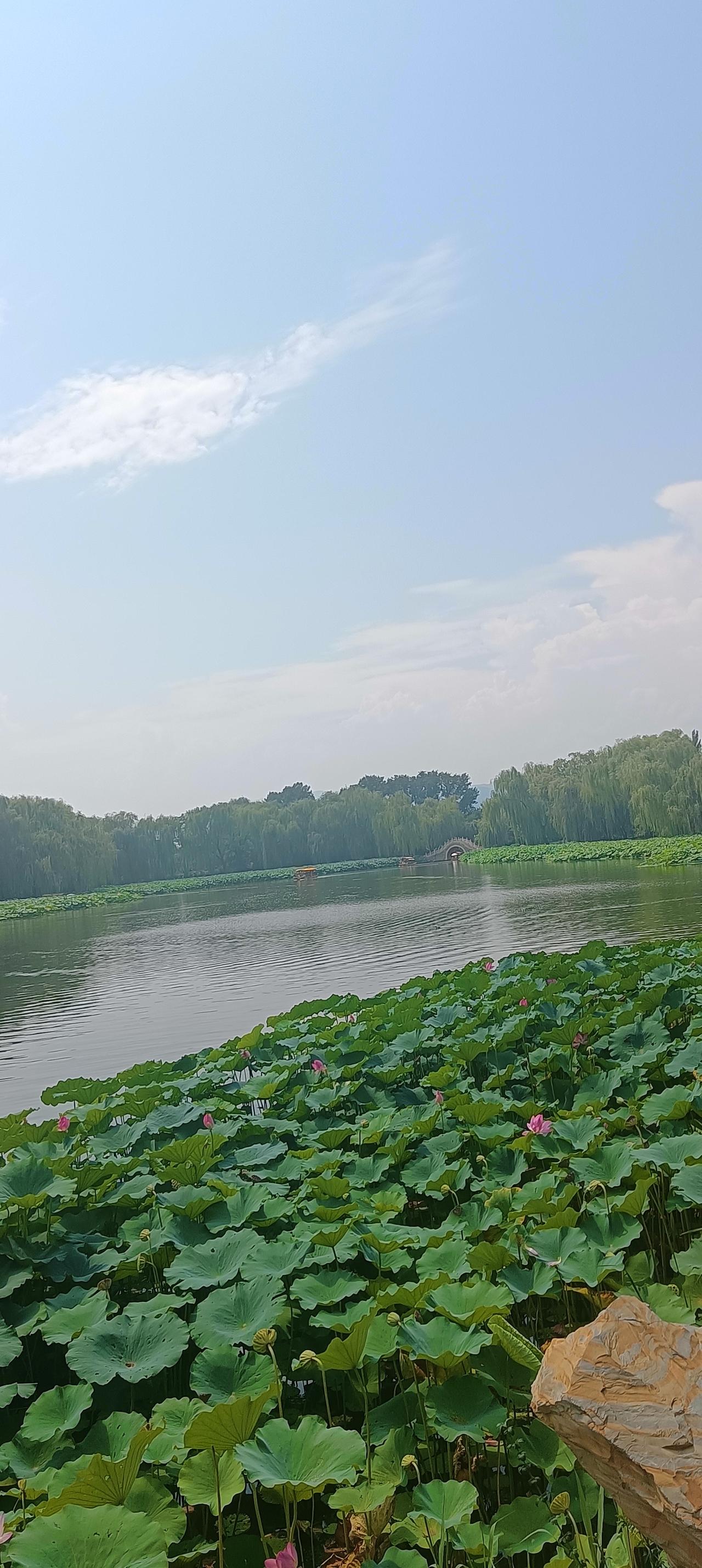 揣上碎银几两，来一场说走就走的旅行。

看不一样的烟火，释怀生活里所有疲惫