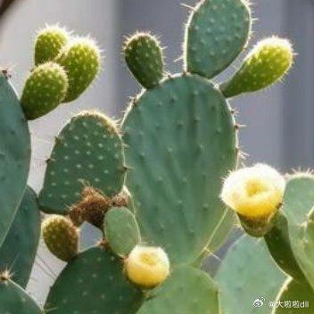 看不见的伤痕最疼，流不出的眼泪最委屈。心酸，一个人慢慢品尝就好；难过，一个人承受