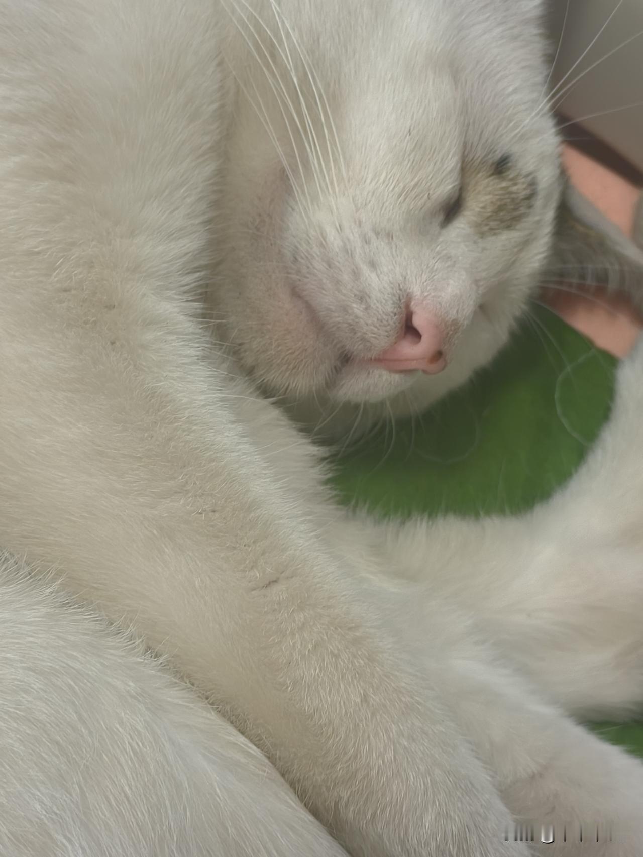 我自己年纪不大不小，精力不高不低，对赚钱没有多么迫切，随遇而安。
所以我做票，一