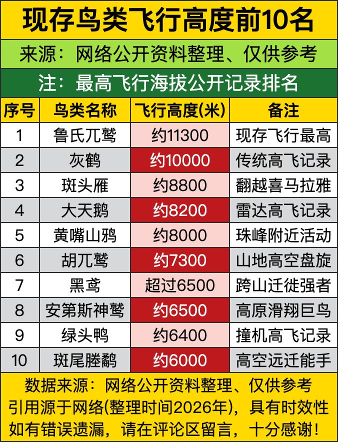 第一名鲁氏兀鹫直接干到11300米，比咱们平时坐的民航巡航高度都不遑多让，合着人