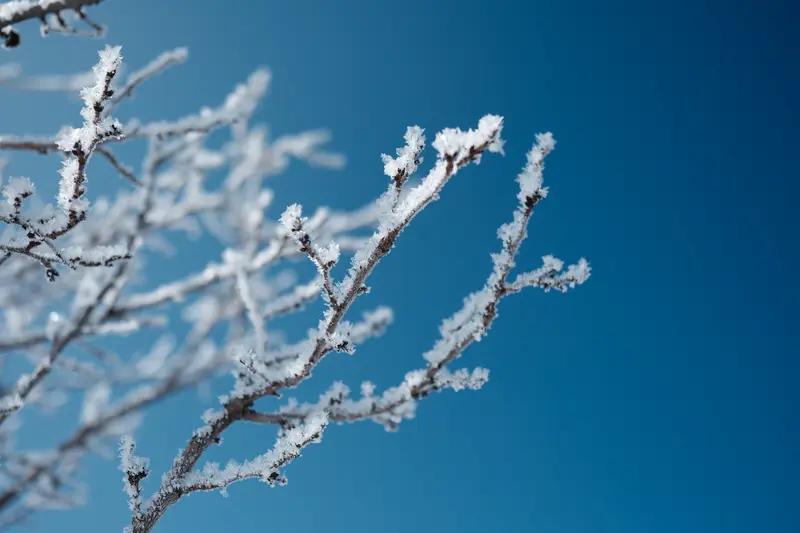 冬日生活打卡季
