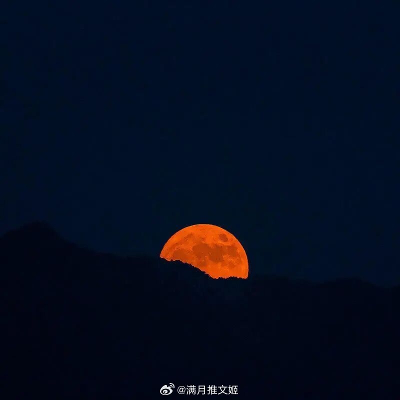 “把爱意藏进月光盒子里，悄悄珍藏，慢慢告白，你是我藏在心底的温柔月光。”——《月