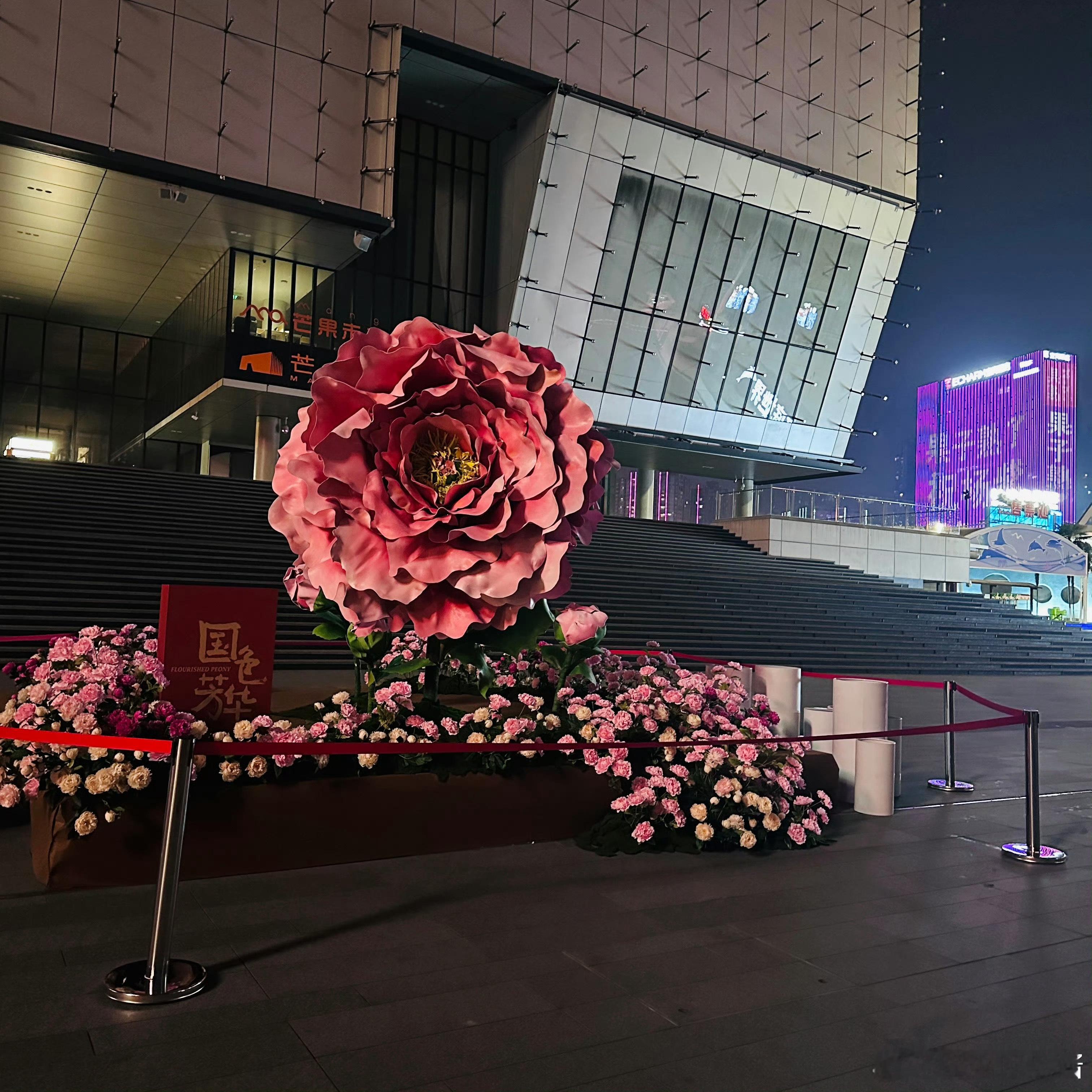 国色芳华排面  看到芒果台为《国色芳华》准备的排面，我的心情瞬间好起来了！那朵绚