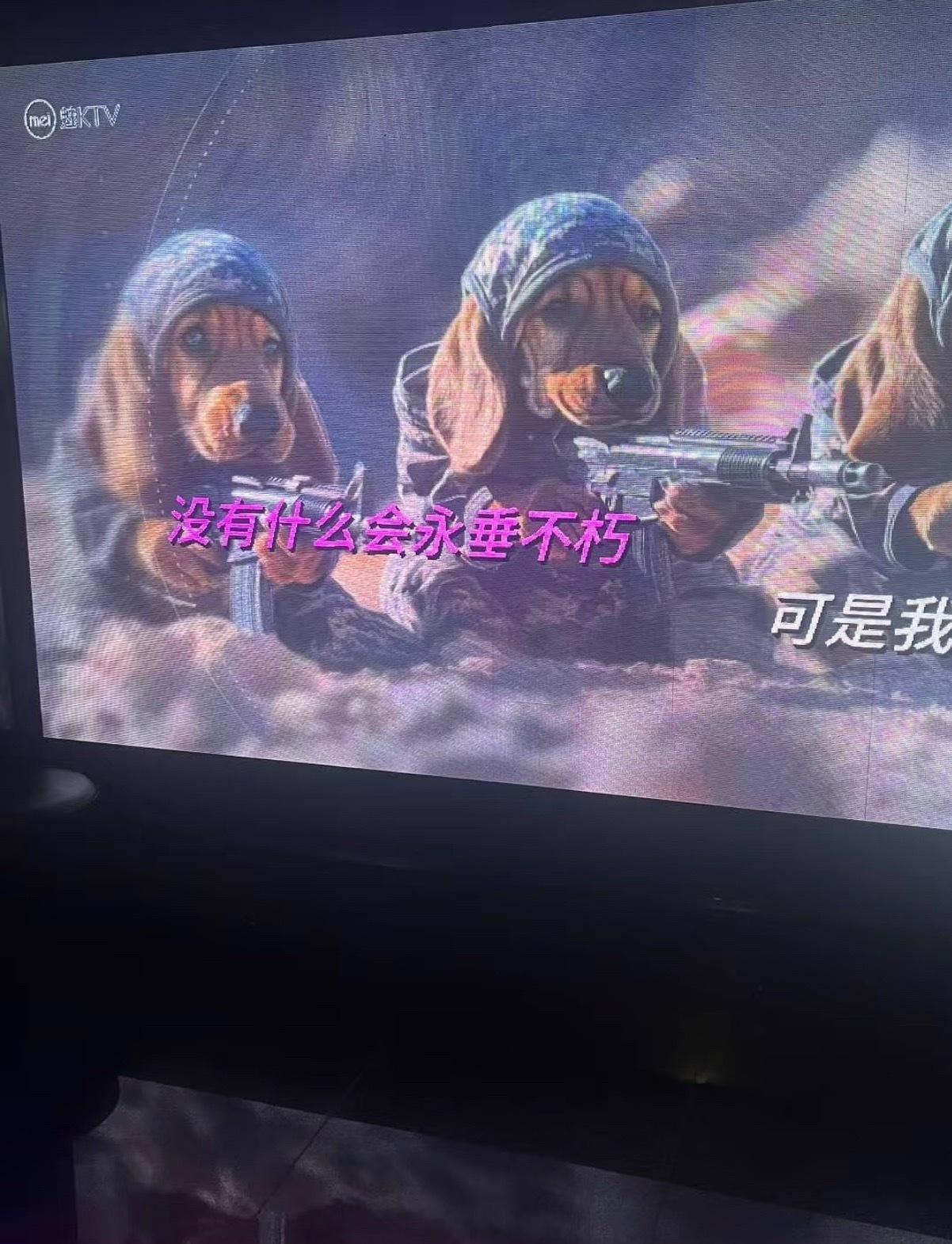 发现很多KTV都没有MV了现在的KTV，一直是ai画面，变来变去的，比如一个球，