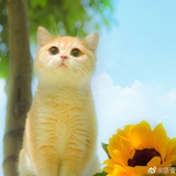 暖彩彩热看汽车