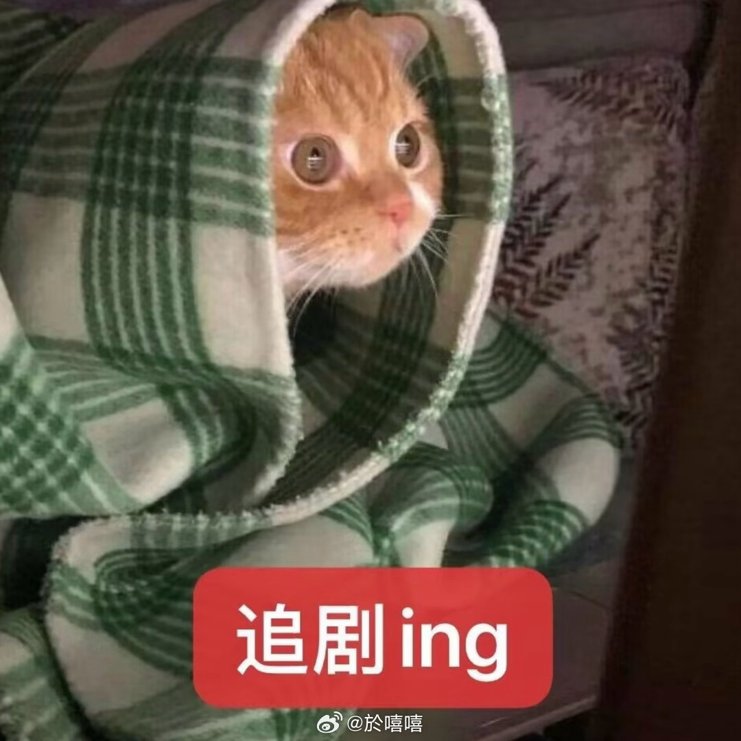 台风又挑周末来了大家最近在看什么剧 