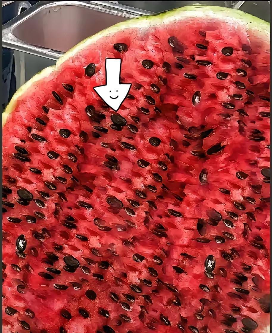 这是西瓜种吧