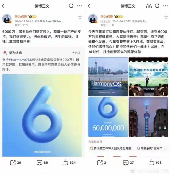 鸿蒙6终端设备数破6000万，何刚：今年有望破亿，那群人继续嗡嗡嗡，也影响不了鸿