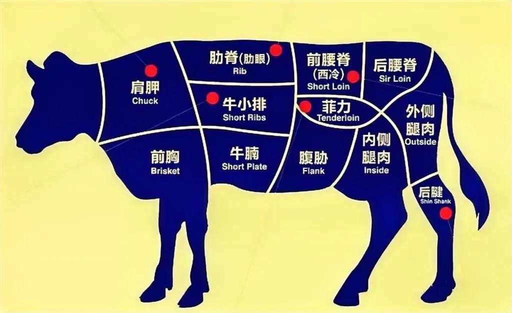 牛身上的各部位肉的称呼，收藏学习。

吃肉也要纠结一下肉长在什么部位，

当然了