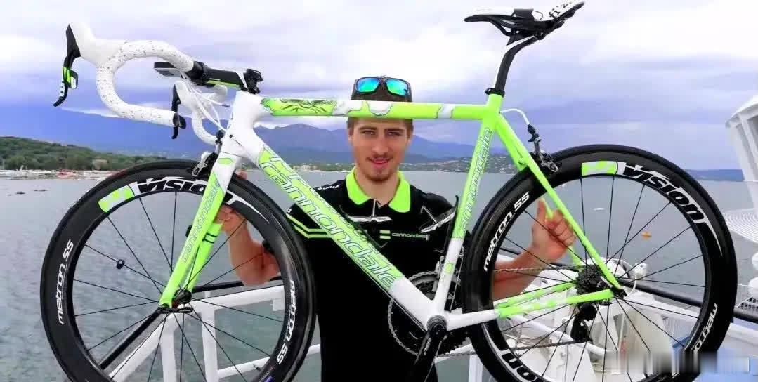 今天就来为大家介绍萨甘的2013赛季的绿巨人涂装战车。 \n2013赛季的环法，