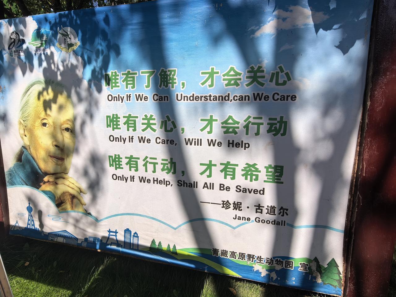 西宁野生动物园，也就是网友口中的西野，是近些年网上很火爆的动物园，它和别的动物园