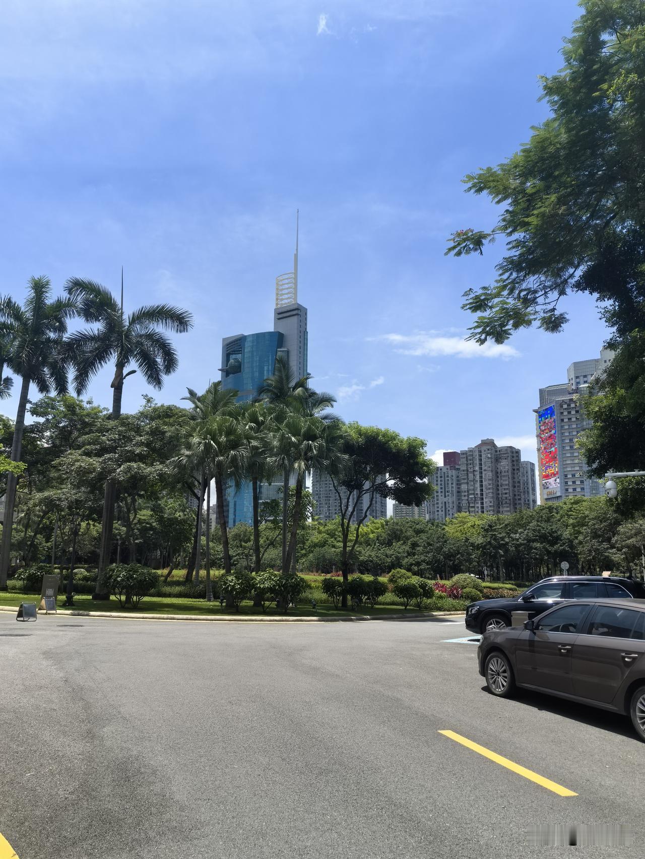 废墟上的舞蹈

这片废墟突兀地横亘在城市的中心，像一块巨大的疮疤。断壁残垣犬牙交