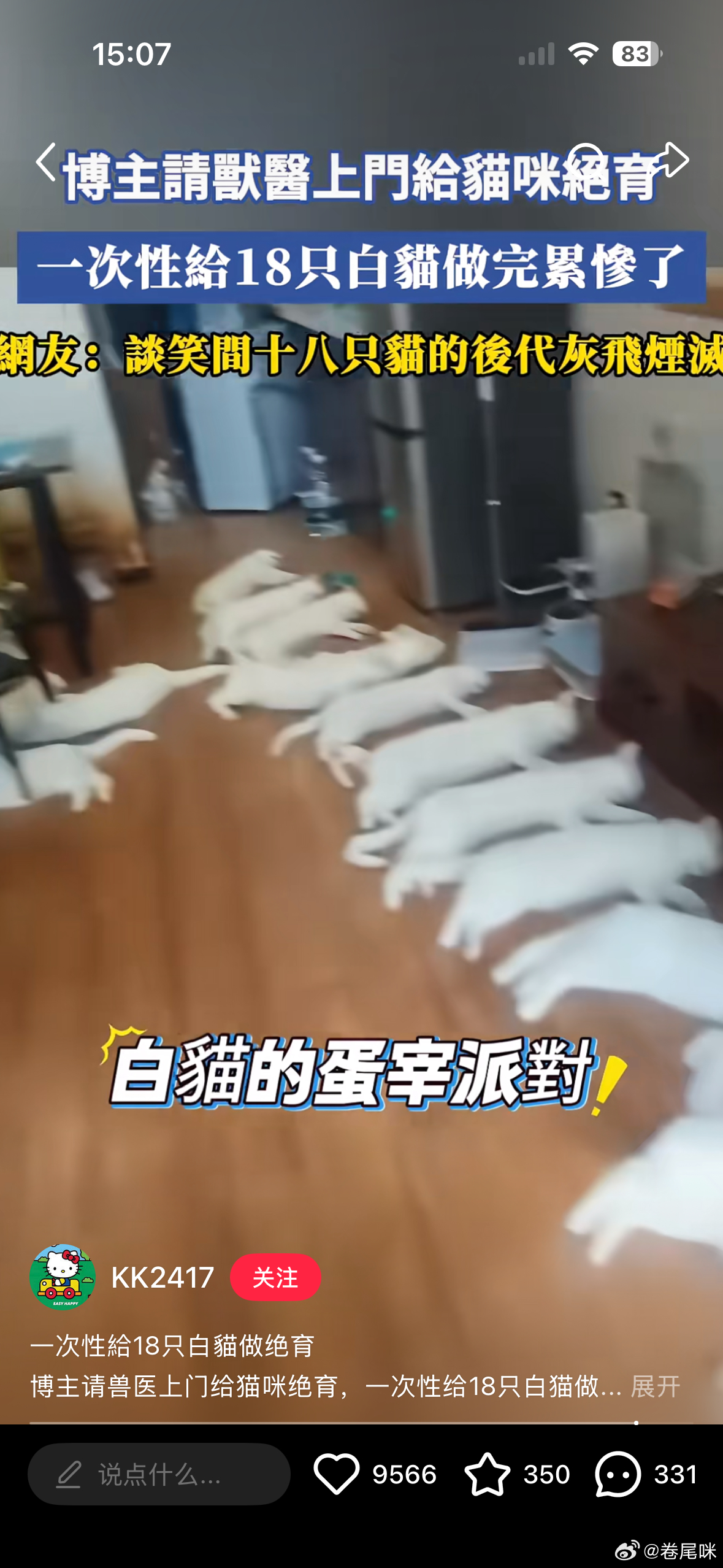我去，诡异得像是ai怎么有人会养这么多白猫笑死了 
