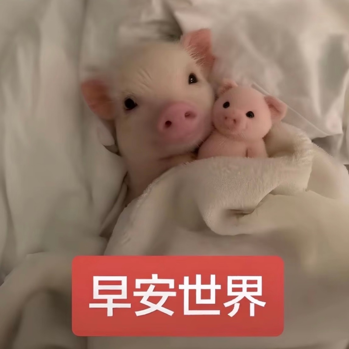 允许一切东西流走 但是假期不能走啊 ​​​