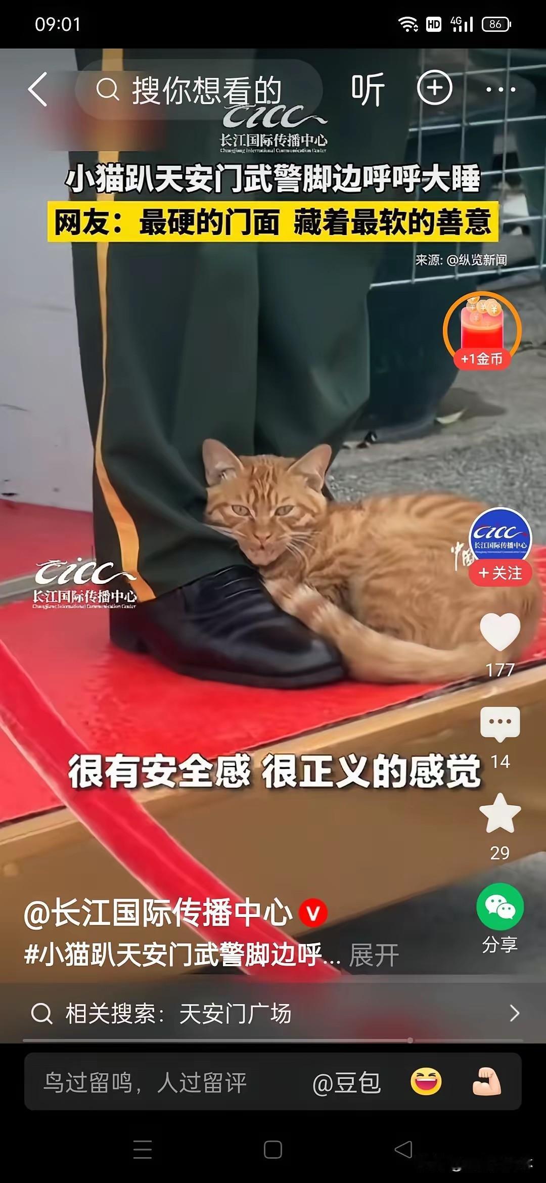 天安门那只小猫的视频下，
有一句留言，
让我破防了。

"你守护人民，它守护你。