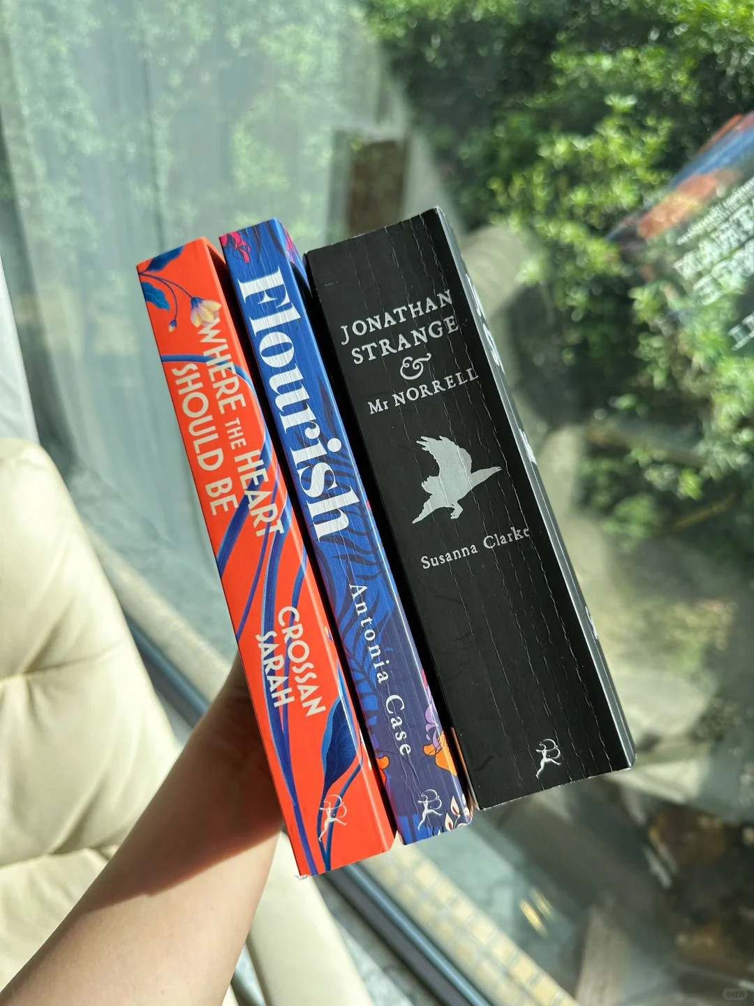 本周陪伴我的3本📚