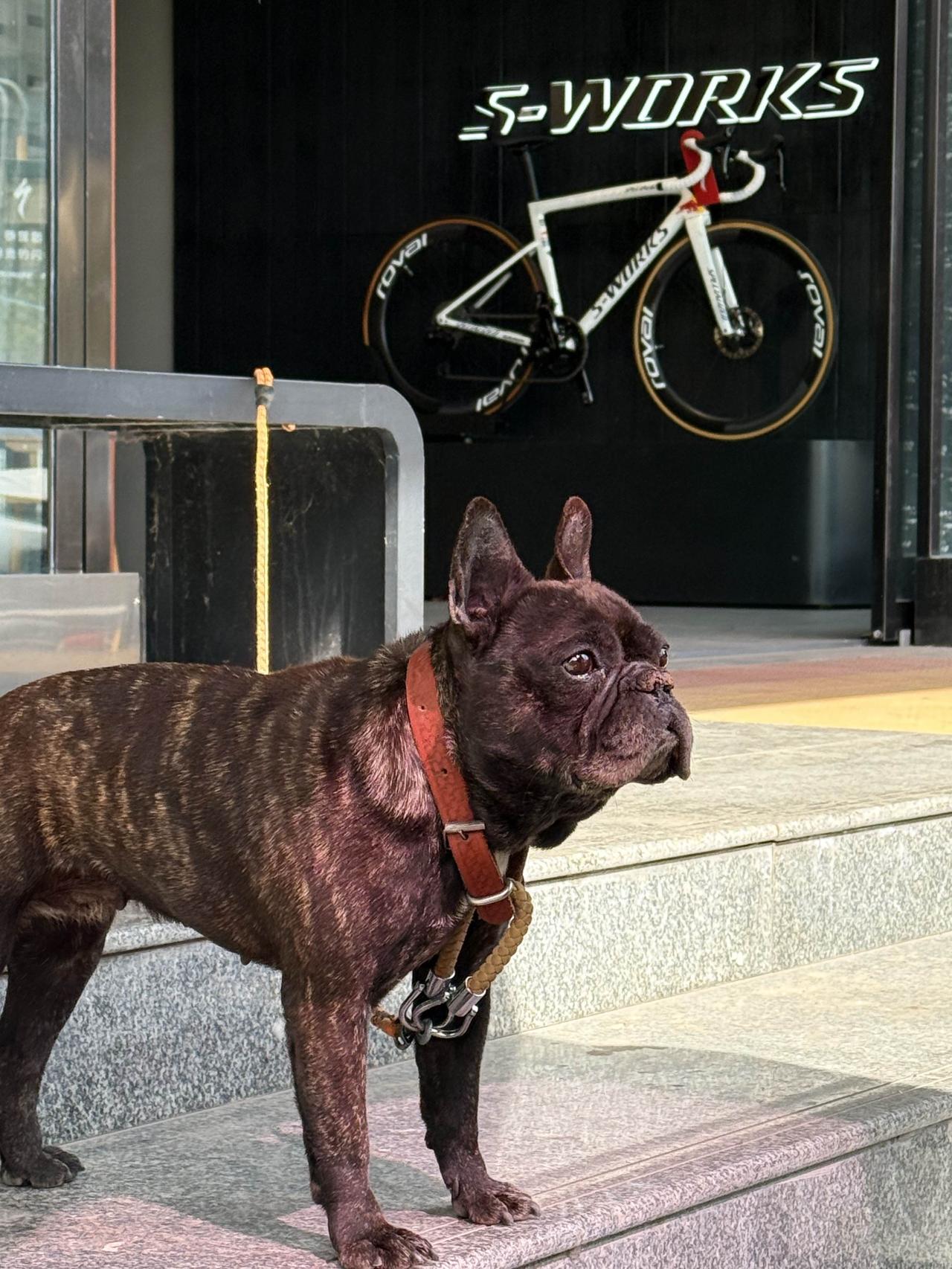 美国宇航员曾经真的登上过月球吗?
真的假不了，假的真不了。
阿波罗登月计划 事情