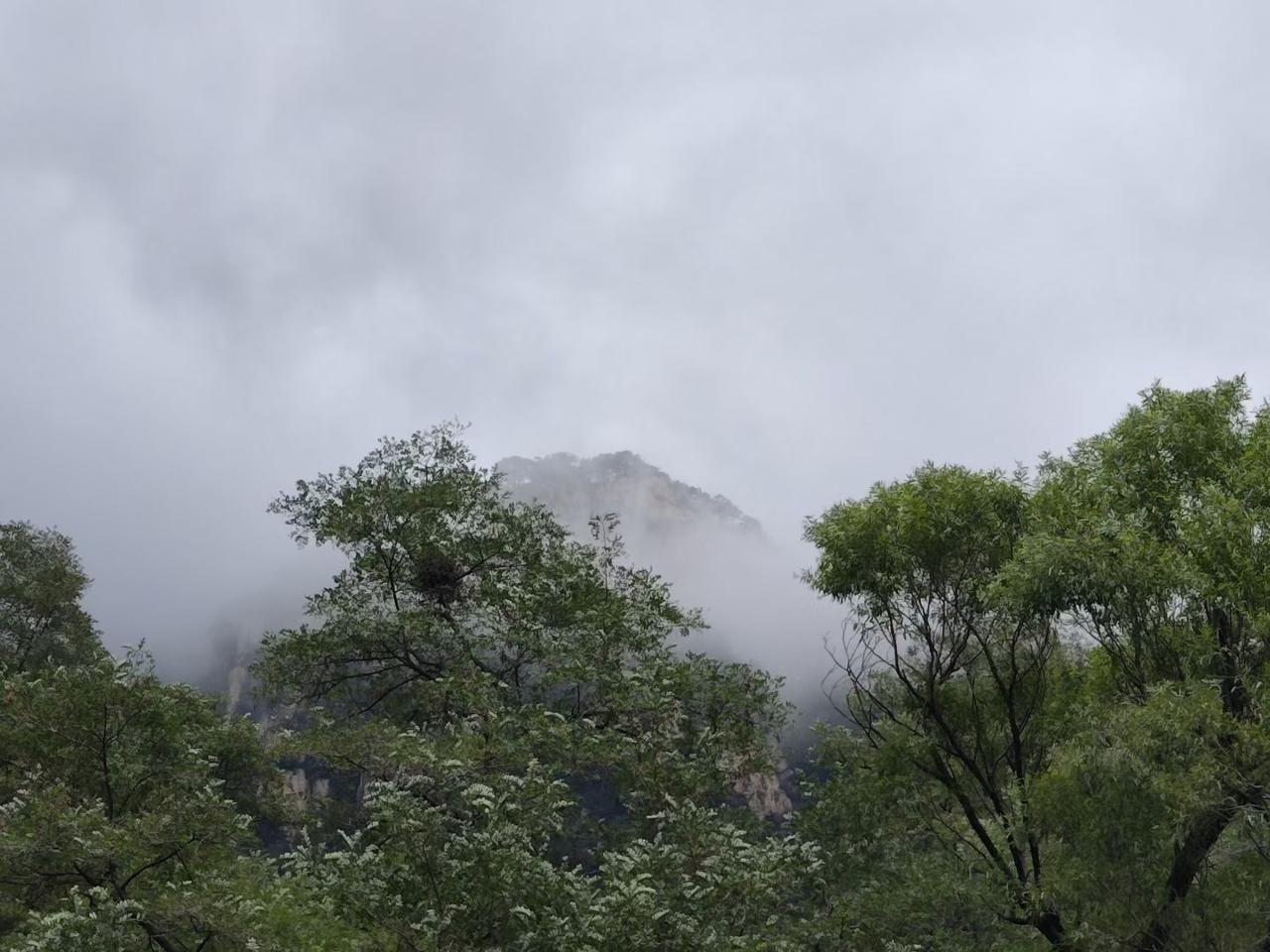 🌿 "道法自然，无为而无不为"

今日感悟：
人生如水，不争自有力量
心静如镜