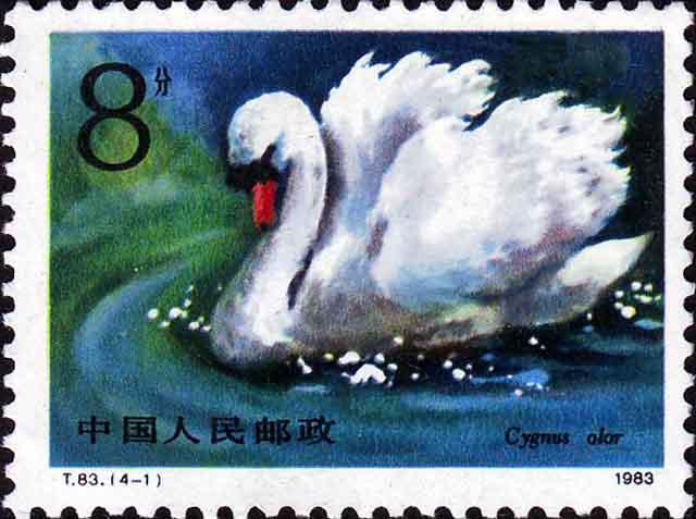 天鹅，似亭亭玉立的少女，身姿矫健，优雅高贵，品质卓越。
1983年11月18日发