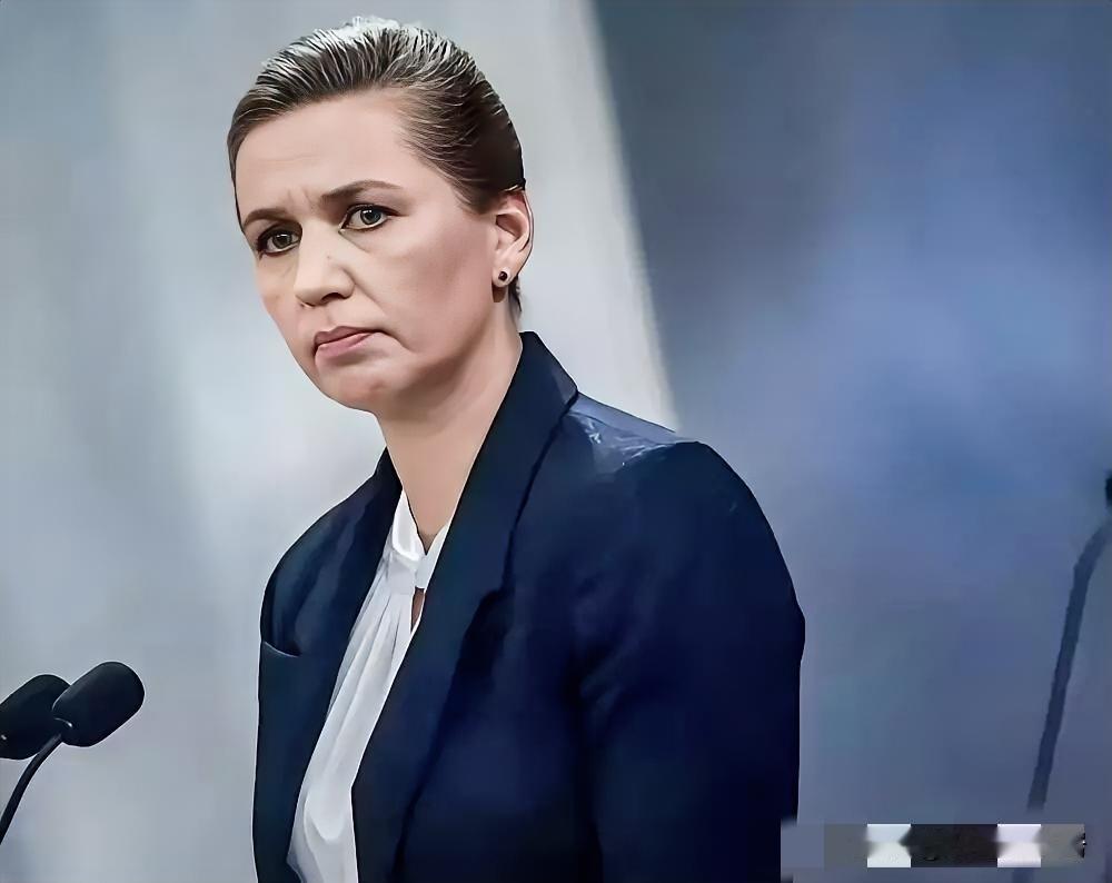 格陵兰岛成香饽饽，美国想硬抢？欧洲盟友可不答应

2026年1月11日，丹麦议会