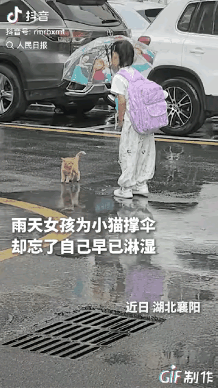 “上人民日报了！”湖北襄阳，一个小姑娘看到雨里有只流浪猫，她没有绕道走，而是弯腰