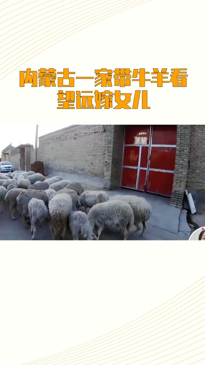 为何内蒙古一家40多人组团带牛羊看望远嫁女儿，成为网络热议话题？
随着社会节奏的