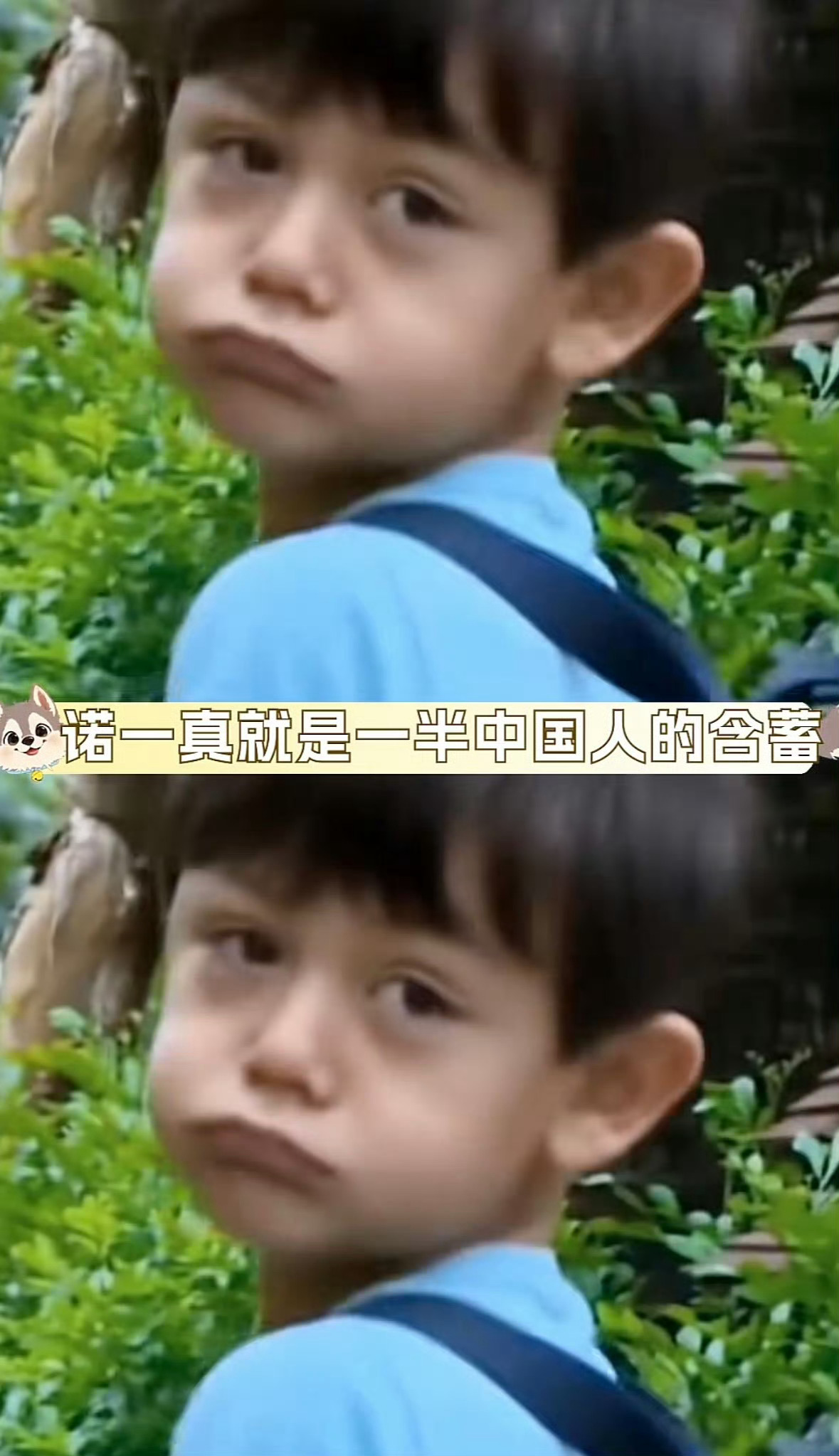 刘烨16岁儿子诺一颜值小时候很可爱 现在长大了显老不觉得吗 我觉得刘烨反而是回春