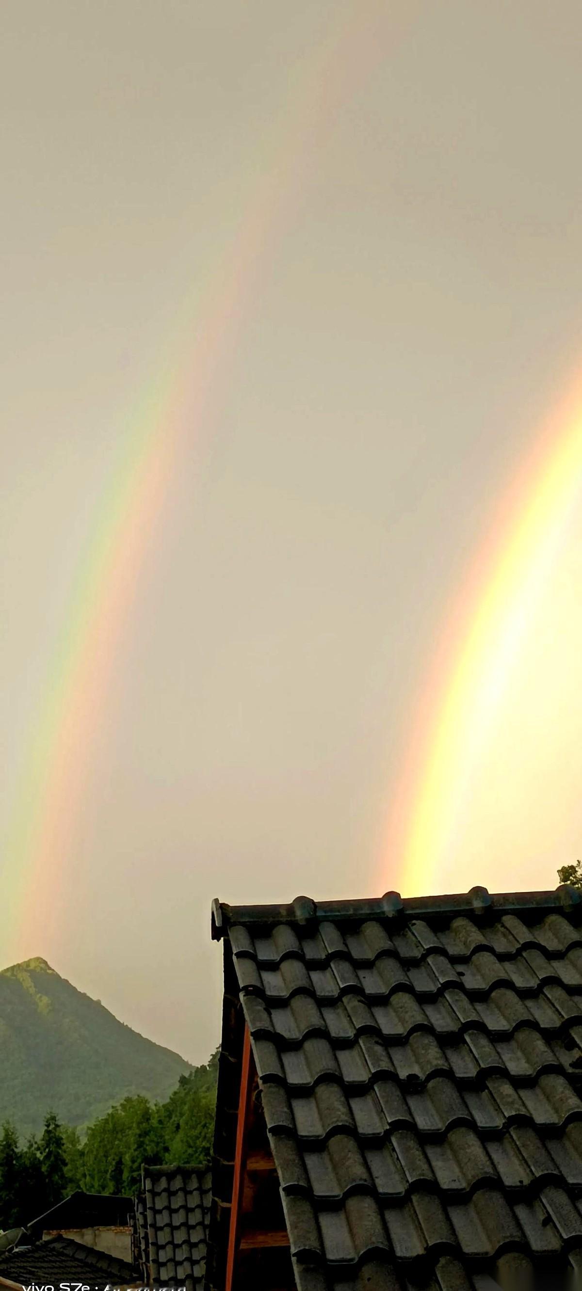 总有那么一帮人，跑得比谁都快。
今天盘面绿得发慌，中信和东财，昨天还看着像要冲锋