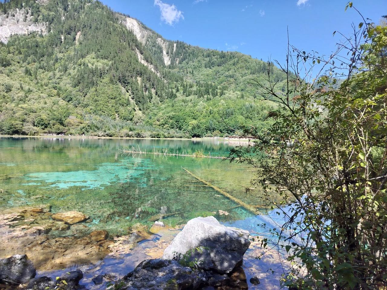 冬日生活打卡季加油