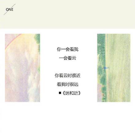 顾城的九首小诗。轻盈剔透，飘渺纯真