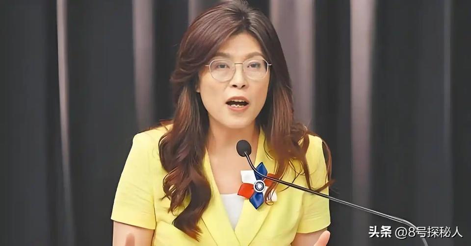 郑丽文“准备去美国“访问”，可谁能想到，美国在台协会的那个处长古立言，直接跳出来
