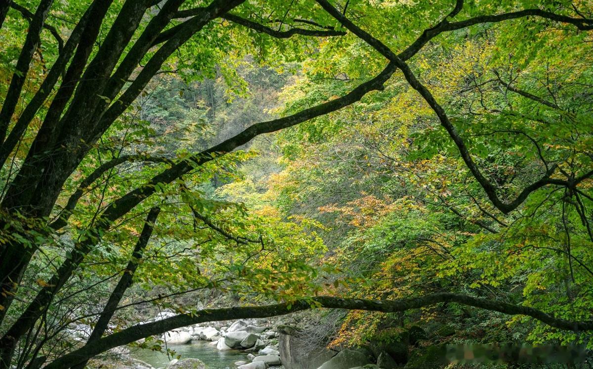 做投资尽调时，投资人会结合收入、订单和回款来分析理想的成长速度是订单、收人、回款