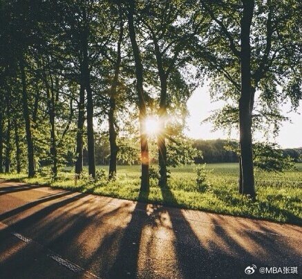 Don't stop dreaming because there is no 