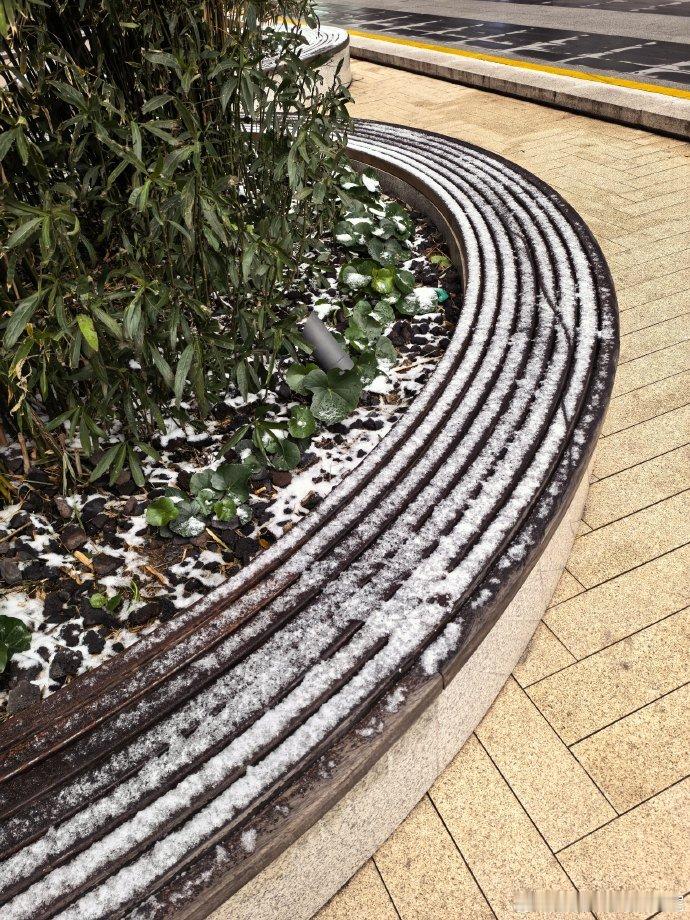 九尾说看到雪了 九尾说看到雪了 