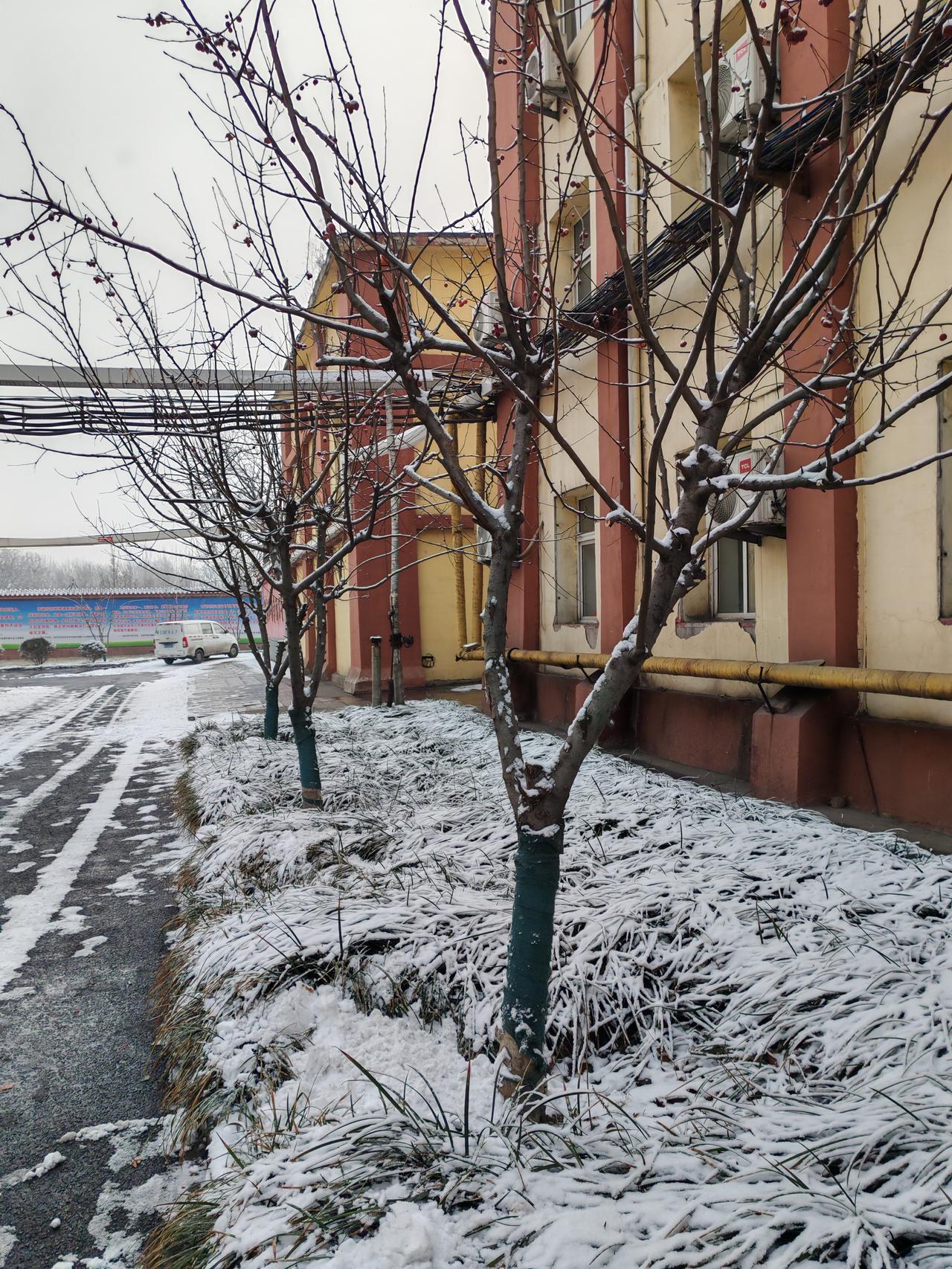 雪去匆匆。
一场雪仿佛只是短暂的过客。
昨天下雪时那洁白的世界还历历在目，可转眼