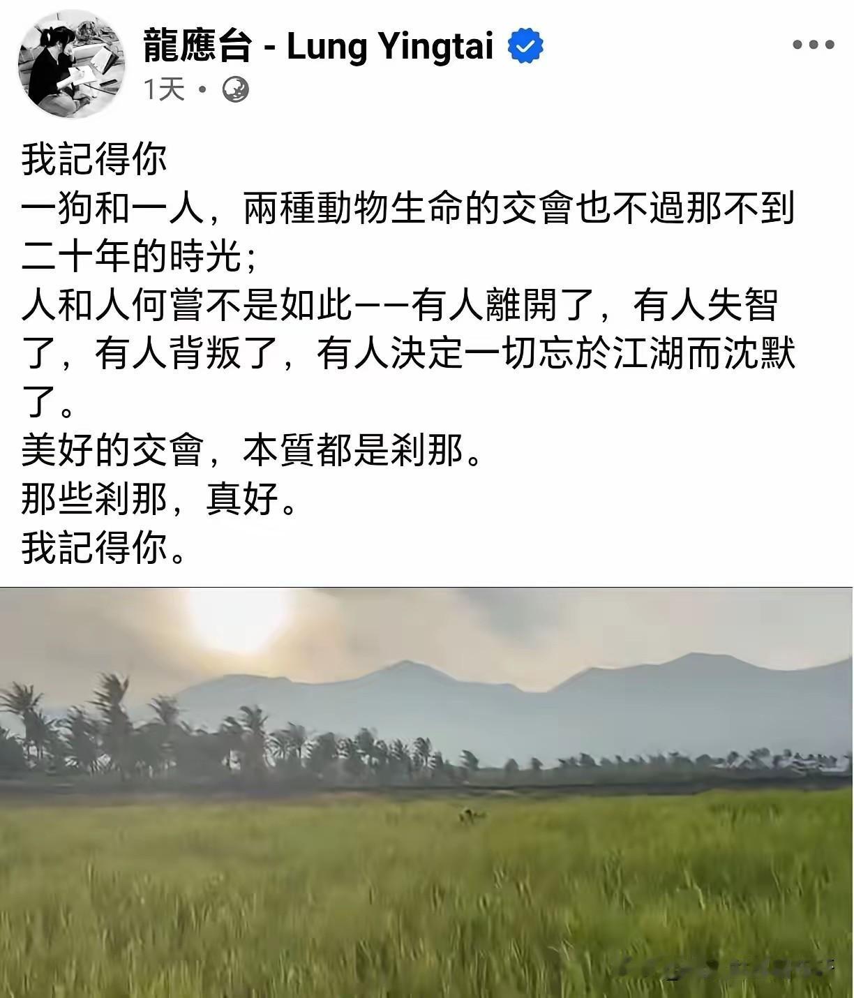 我记得你，
龙应台，
一人一电脑，
去沉下心交会剩下的时光，
不要再出现媒体面前