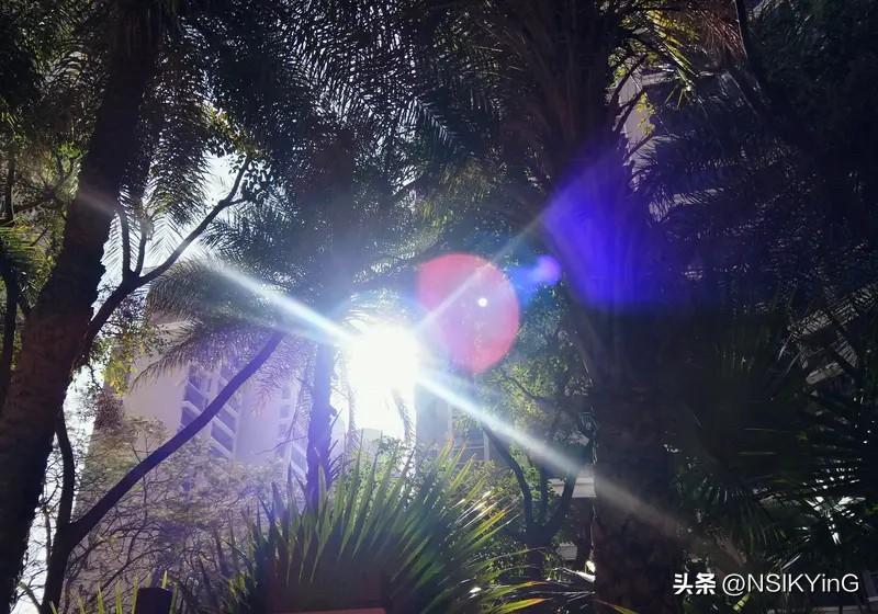 阳光很暖，风很甜，日子懒懒的，要慢慢喜欢。