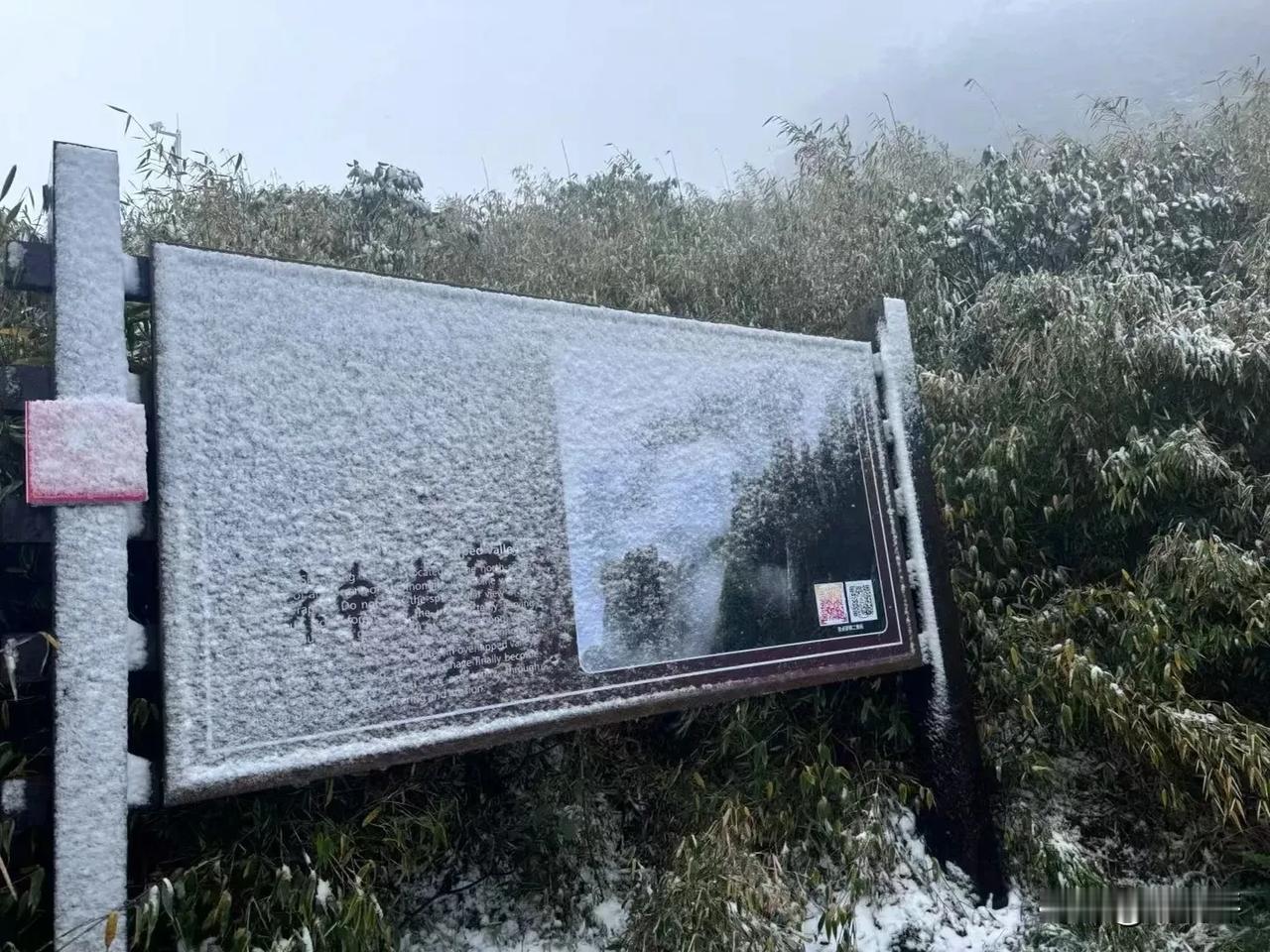 【天气快报】神农架下雪了，荆州会大幅度降温么？气温还算正常，白天都能坚守20度，