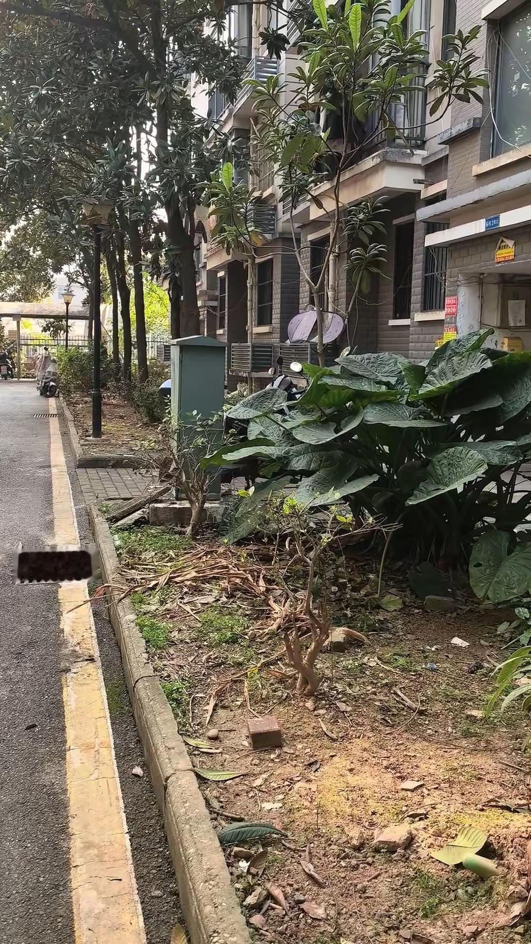 “干什么”用你的家乡话怎么说干啥子~~~