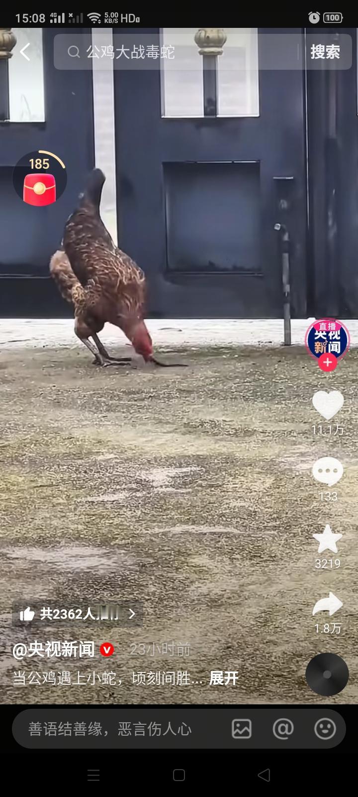 现在《央视新闻》真会整活儿了，发布一个大公鸡斗毒蛇的视频，这是内涵谁呢？放眼世界