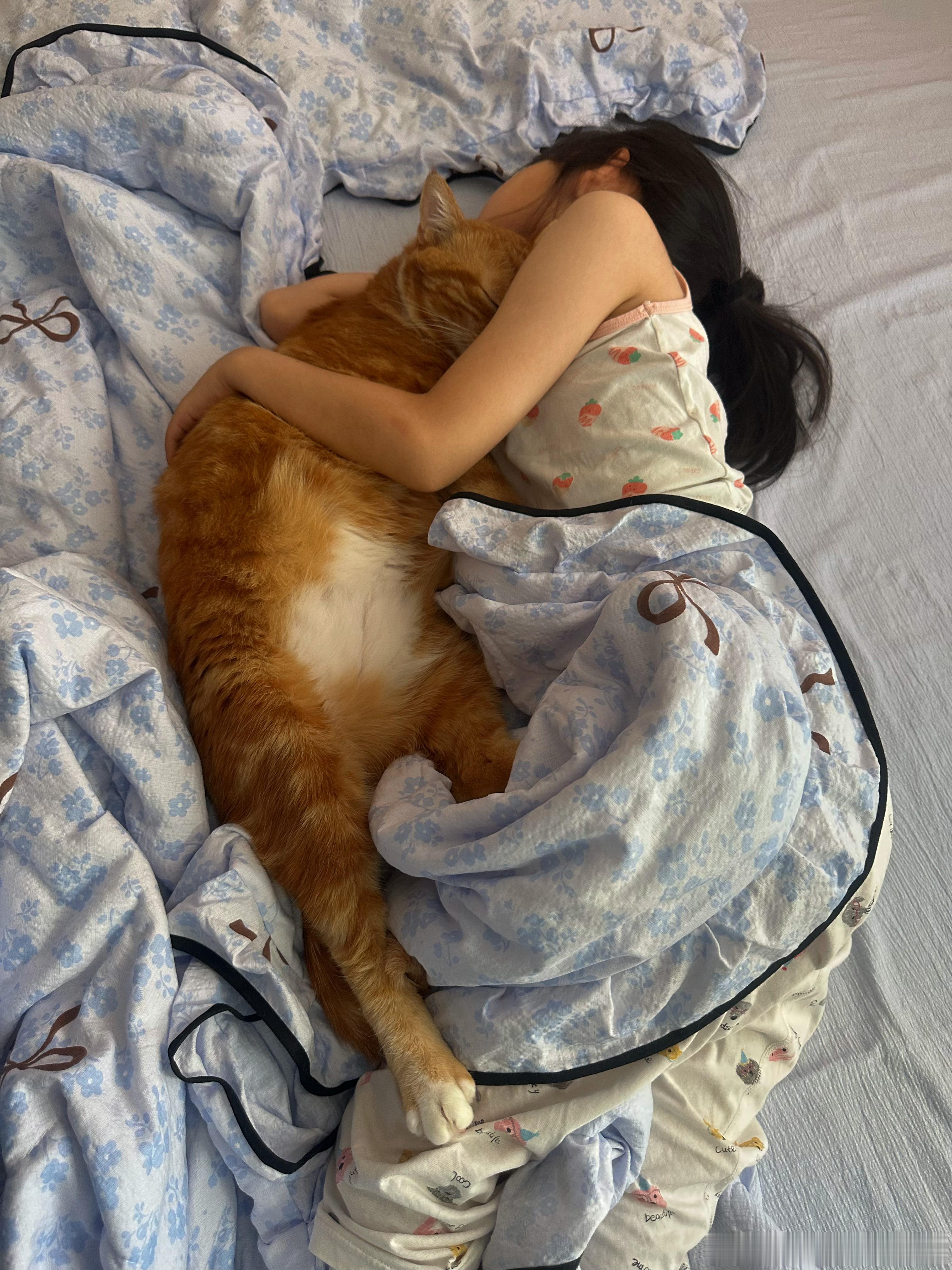 姐宝咪没有姐姐楼它，它都不睡整宿觉猫