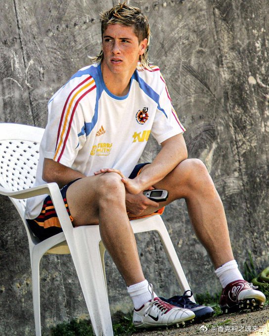 费尔南多·托雷斯时代的宠儿