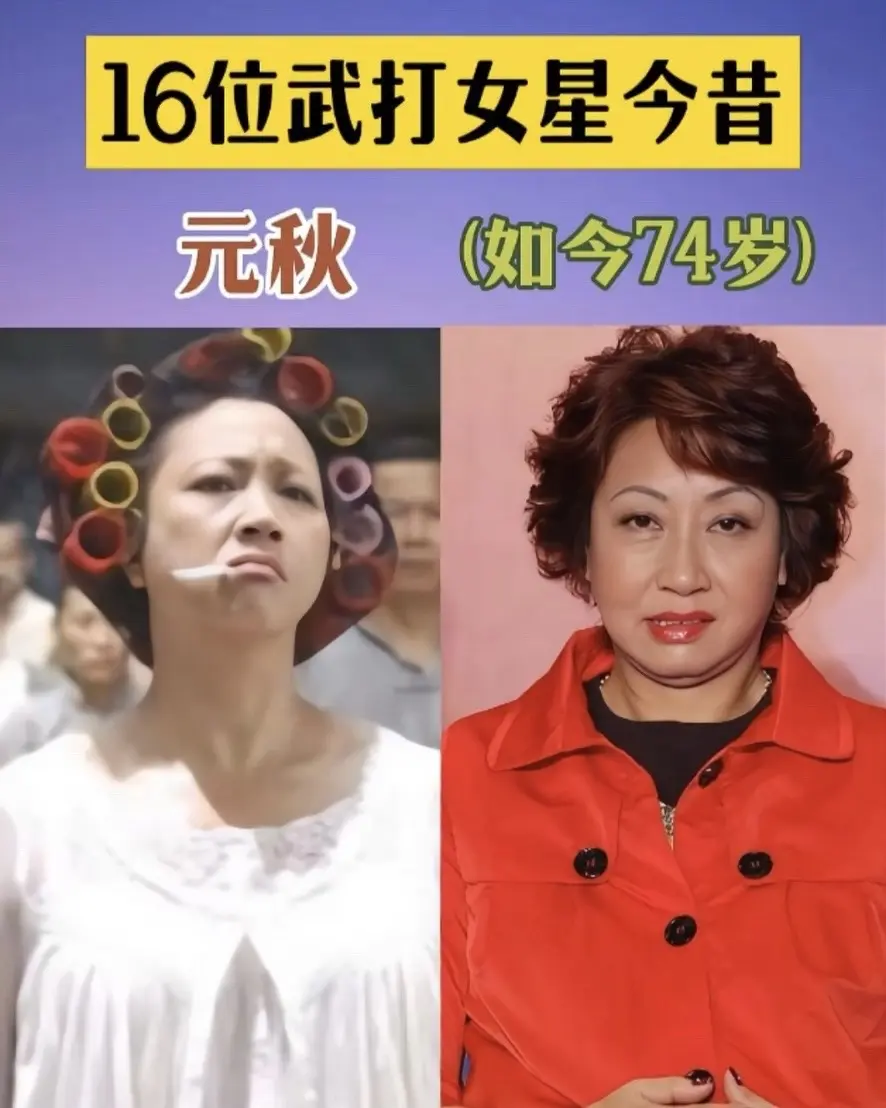 我要上热们 内容启发搜索 明星背后故事