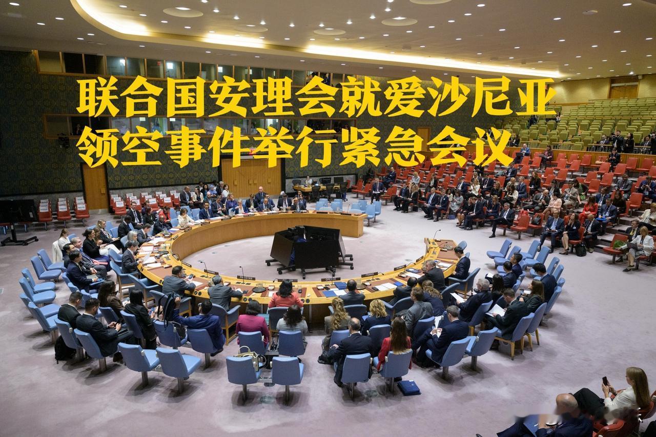 联合国安理会紧急磋商爱沙尼亚领空事件 俄否认战机越境指控‌

   据外媒报道当