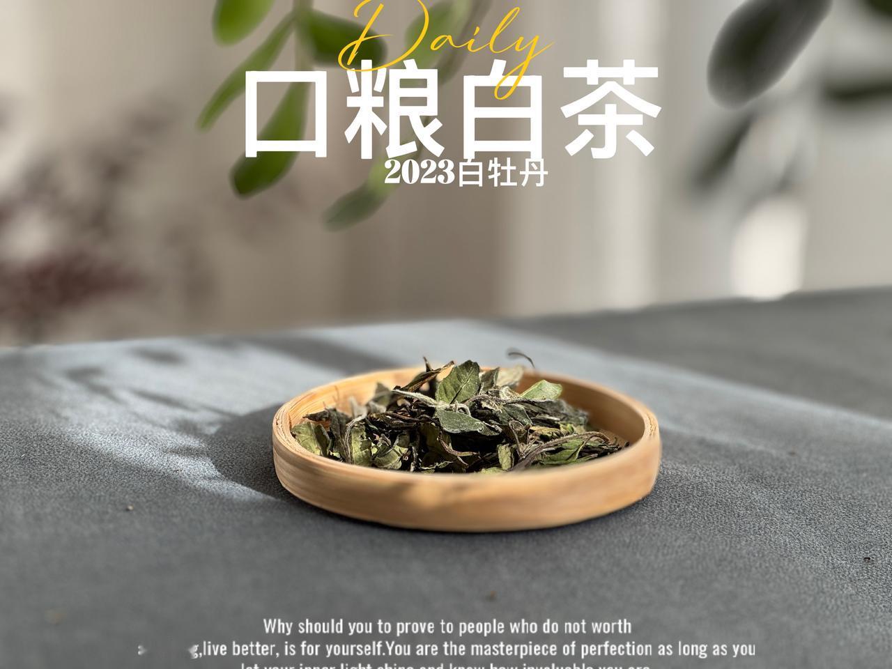 立夏该喝什么茶？
立夏之后，气温升高，多喝白茶可以消暑。
白茶工艺质朴，新茶茶味