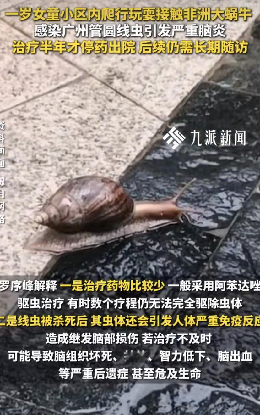 太揪心!深圳1岁女童小区里爬着玩，竟染上"脑炎"，治疗半年才停药
养娃的家长注意
